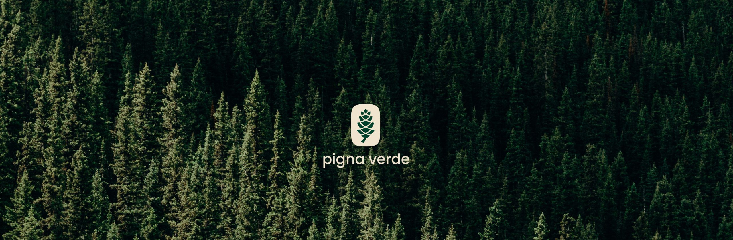 header-pigna-verde